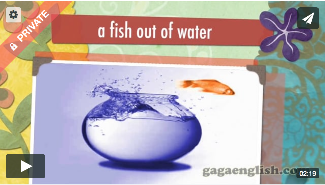 6 Idioms｛ 没了水的鱼🐟 ｝A fish out of water